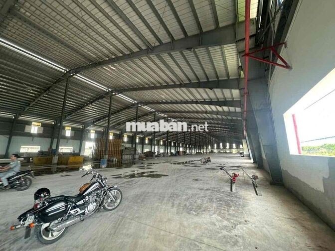 🔴 CHO THUÊ KHO XƯỞNG NGOÀI KCN BẾN LỨC GIÁP ĐỨC HÒA MỚI 100% CÓ CẮT LẺ