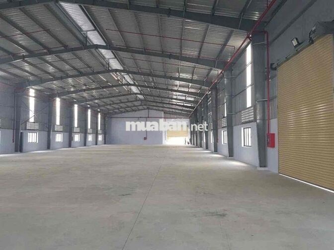🔴 CHO THUÊ KHO XƯỞNG BẾN LỨC GIÁP CAO TỐC TRUNG LƯƠNG GIÁ TỐT