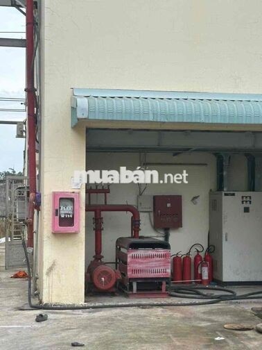 🔴 CHO THUÊ KHO XƯỞNG BẾN LỨC GIÁP CAO TỐC TRUNG LƯƠNG GIÁ TỐT