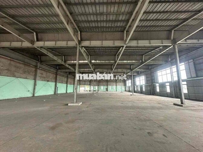🔴 CHO THUÊ KHO XƯỞNG BẾN LỨC GIÁP CAO TỐC TRUNG LƯƠNG GIÁ TỐT