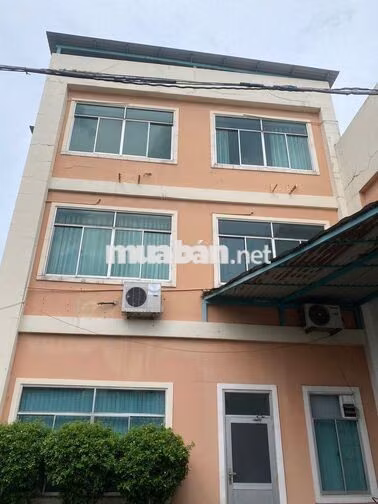Cho thuê kho 800m² KCN Tân Tạo Bình Tân – Khuôn viên 5.000m² 