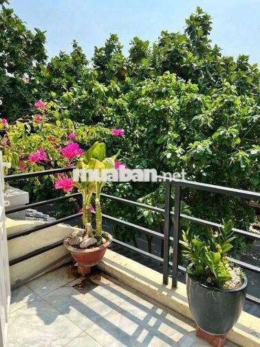 Cho Thuê Nhà Nguyên Căn Mặt Tiền Khu Cao Lỗ