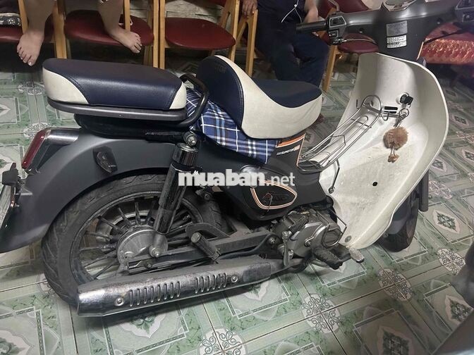 Cub 50 Trắng Đen Việt Nam