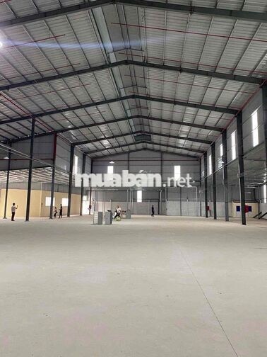 🔴 CHO THUÊ KHO XƯỞNG GẦN KCN CẦU TRÀM CHỦ TRƯƠNG NGÀNH NHỰA GIÁ TỐT