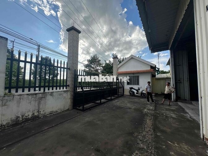 🔴 CHO THUÊ KHO XƯỞNG LONG AN HÌNH ẢNH THẬT GIÁ RẺ XE CÔNG ĐIỆN. 250 KV
