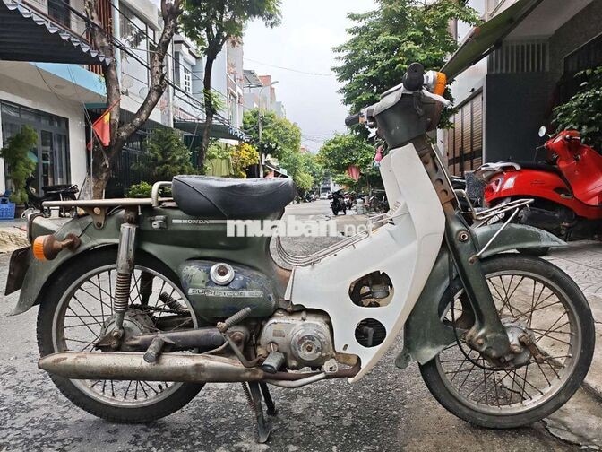 Thanh lý Honda Cup 81 nguyên bản