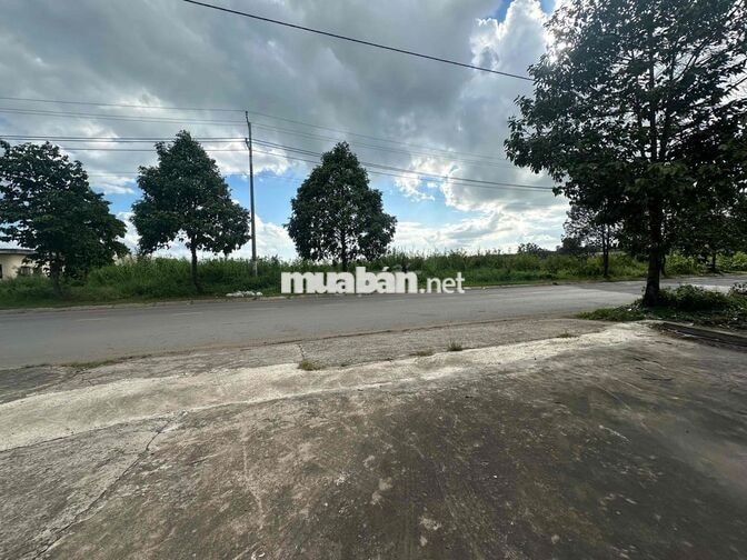 🔴 CHO THUÊ KHO XƯỞNG LONG AN HÌNH ẢNH THẬT GIÁ RẺ XE CÔNG ĐIỆN. 250 KV