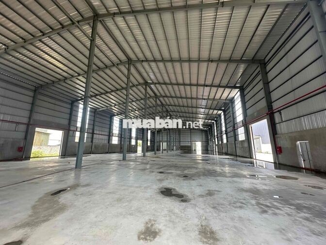 🔴 CHO THUÊ KHO XƯỞNG CỤM KCN KIẾN THÀNH LONG CAN CẦN ĐƯỚC LONG AN