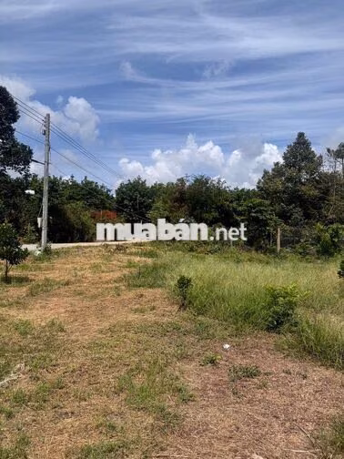 BÁN ĐẤT 4074M2 GIÁ 590TR, SỔ HỒNG SẴN, MT ĐƯỜNG 16M TẠI TRUNG TÂM XÃ