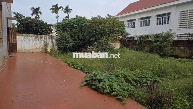 BÁN 2 LÔ ĐẤT LIỀN KỀ – PHƯỜNG TÂN LẬP, TP.BUÔN MÊ THUỘT