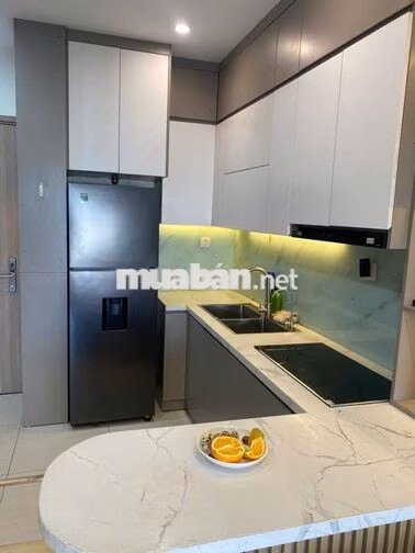 Bán căn 1 ngủ, 43m, khu S, giá 3 tỷ