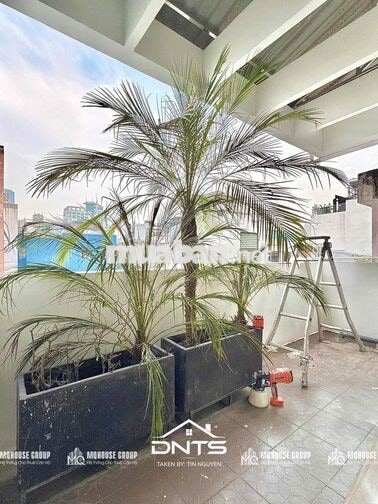 KHAI TRƯƠNG PENTHOUSE QUẬN 1 | SÂN VƯỜN | THẢO CẦM VIÊN | BASON