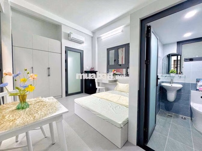 STUDIO BANCOL XINH IU NGAY LẠC LONG QUÂN_ÂU CƠ NUÔI PET