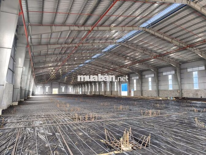 Cho thuê kho Quốc lộ 50 Cần Giuộc 5.000m² – 11.000m² – PCCC tự động 