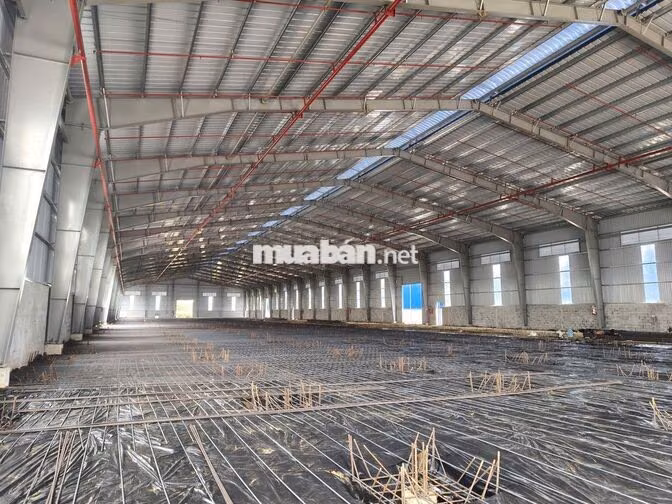 Cho thuê kho Quốc lộ 50 Cần Giuộc 5.000m² – 11.000m² – PCCC tự động 