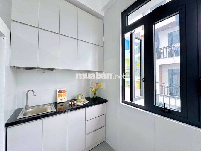 STUDIO BANCOL XINH IU NGAY LẠC LONG QUÂN_ÂU CƠ NUÔI PET