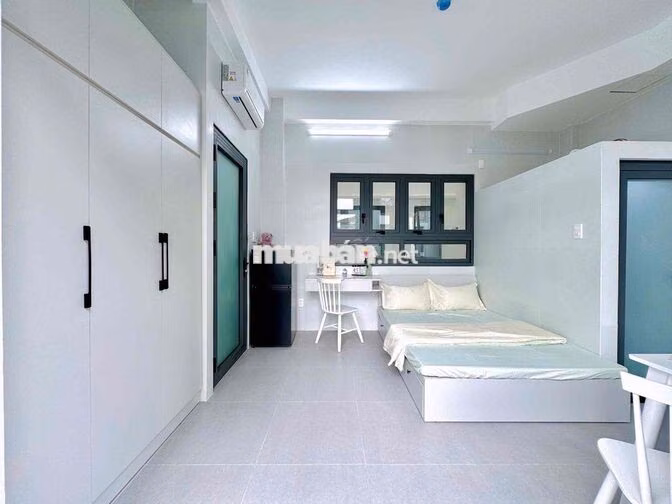 STUDIO BANCOL XINH IU NGAY LẠC LONG QUÂN_ÂU CƠ NUÔI PET