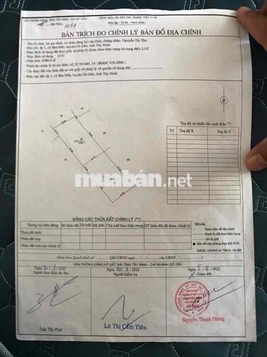 Gần 1ha đất gồm nhà xưởng nhà cấp 4 và 300 cây dừa