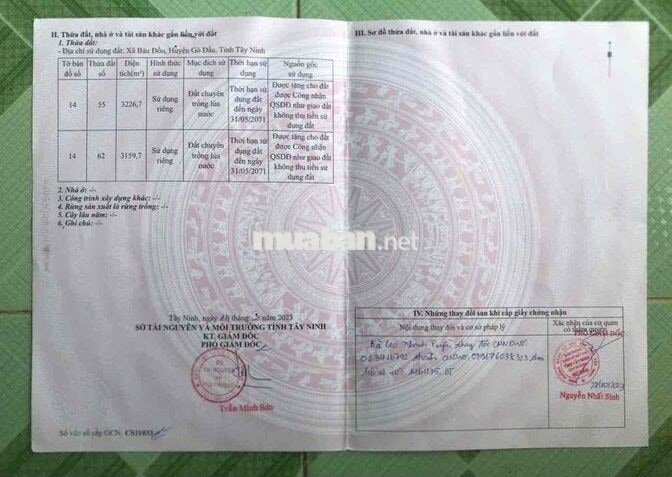 Gần 1ha đất gồm nhà xưởng nhà cấp 4 và 300 cây dừa