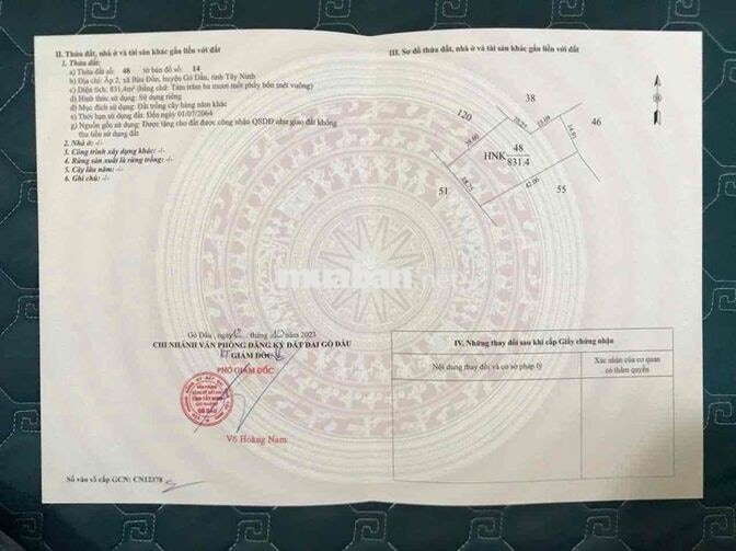 Gần 1ha đất gồm nhà xưởng nhà cấp 4 và 300 cây dừa