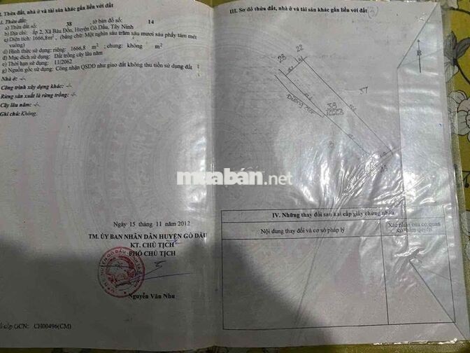 Gần 1ha đất gồm nhà xưởng nhà cấp 4 và 300 cây dừa