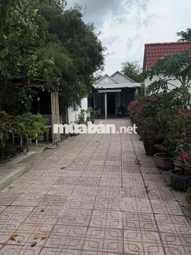 Chủ ngộp bán gấp nhà vườn 287m² Thuận An, giá tốt 3 tỉ 2