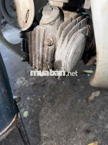 Honda Super Cub 50 Xanh trắng