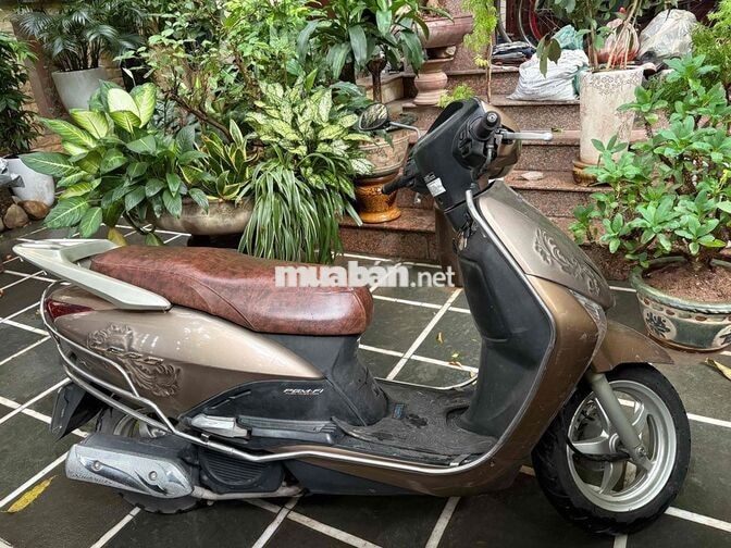 Honda Lead Vàng Xe tay ga
