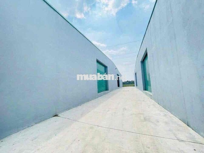 🔴 CHO THUÊ KHO XƯỞNG ĐỨC HÒA HÌNH ẢNH THẬT DIỆN TÍCH NGÀN HOẶC 2.000 M