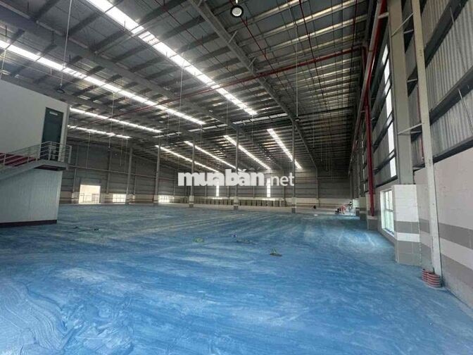 🔴 CHO THUÊ KHO XƯỞNG MỚI 100% QUỐC LỘ 62 THẠNH HÓA LONG AN