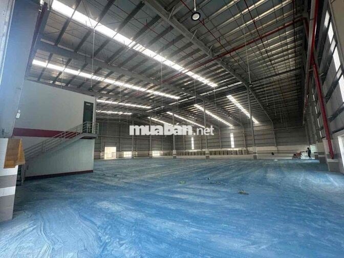 🔴 CHO THUÊ KHO XƯỞNG MỚI 100% QUỐC LỘ 62 THẠNH HÓA LONG AN