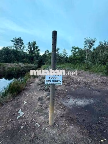 Ngộp cần bán lô đất 1000m2 vĩnh lộc A hạ giá lỗ 700tr  đất bao gồm hồ