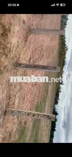 BÁN ĐẤT HAI MẶT TIỀN – GẦN QL1, QL55 VÀ CAO TỐC PHAN THIẾT–DẦU GIÂY