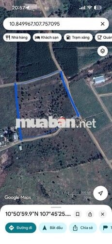 BÁN ĐẤT HAI MẶT TIỀN – GẦN QL1, QL55 VÀ CAO TỐC PHAN THIẾT–DẦU GIÂY