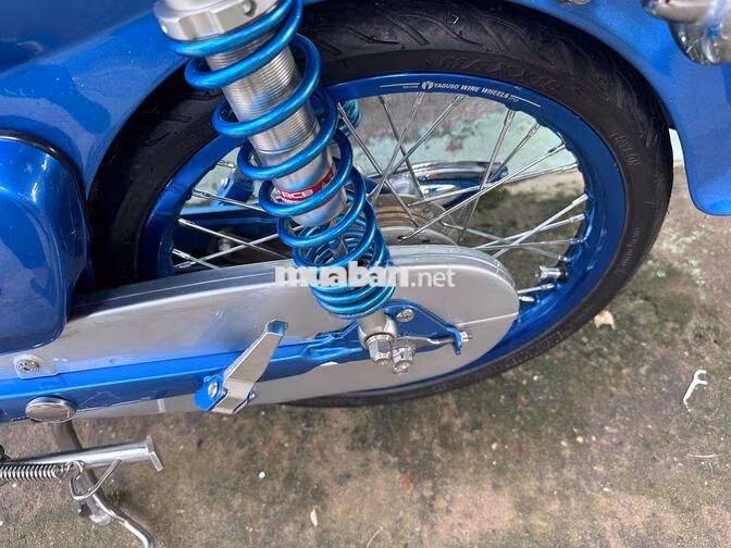 Honda Cub 81/50