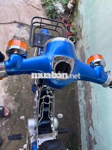 Honda Cub 81/50