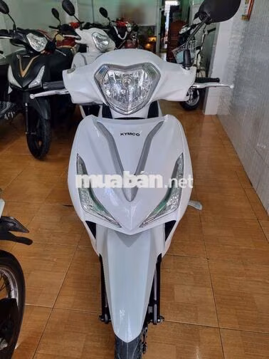 Kymco Candy Hermosa 50 Trắng 12000 km