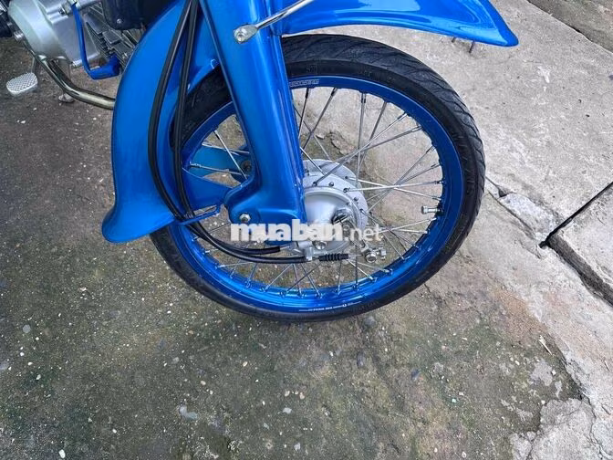 Honda Cub 81/50