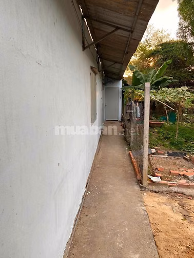 Bán hoặc cho thuê nhà ấp Thới Tây 2, đường Tân Hiệp 4, Hóc Môn