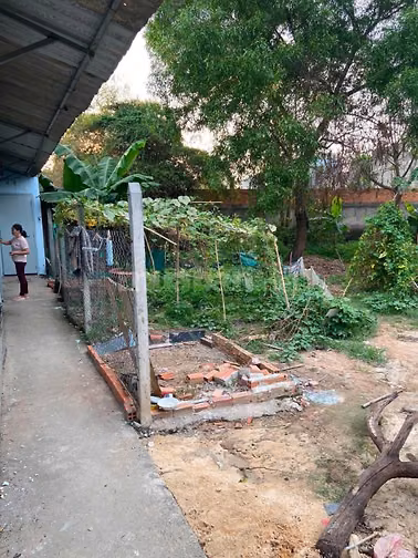 Bán hoặc cho thuê nhà ấp Thới Tây 2, đường Tân Hiệp 4, Hóc Môn