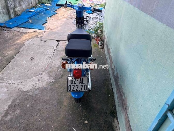 Honda Cub 81/50