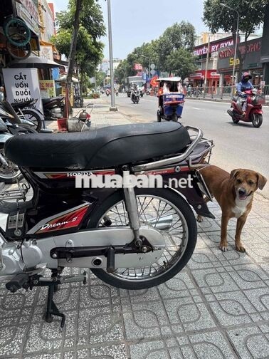 Honda Dream TQ 2001 Trắng, Đỏ đô