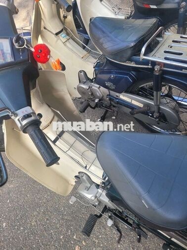 Honda Custom 50 Xanh Trắng