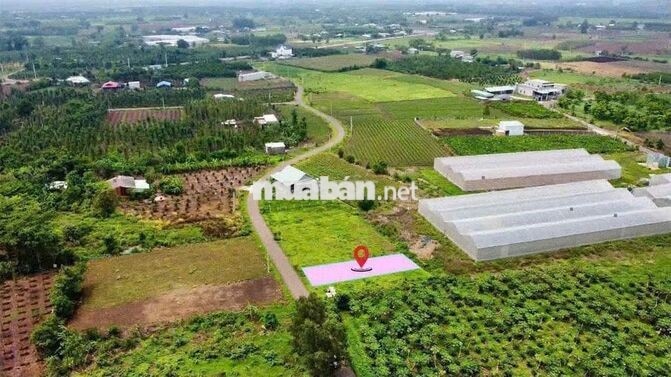 ĐẤT ĐÁ BẠC CHỈ 520TR 182M2 SỔ SẲN CÔNG CHỨNG NGAY