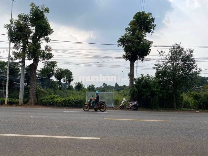 BÁN ĐẤT MẶT TIỀN QUỐC LỘ 56 - BÀU CHINH, CHÂU ĐỨC - DỆN TÍCH KHỦNG