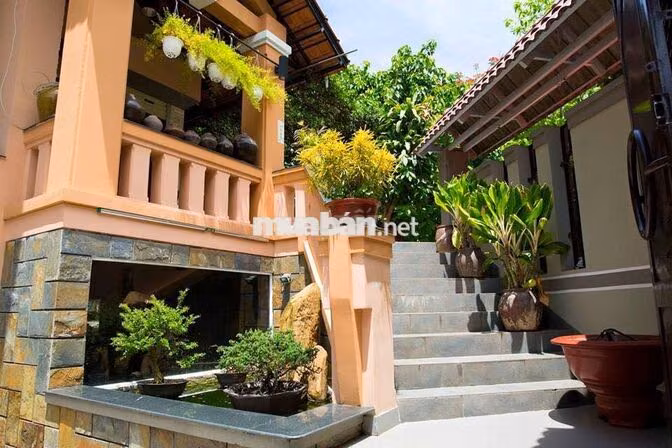 Cho thuê biệt thự góc 12x20m, 5 tầng, sát MT đường Tạ Quang Bửu, Q.8