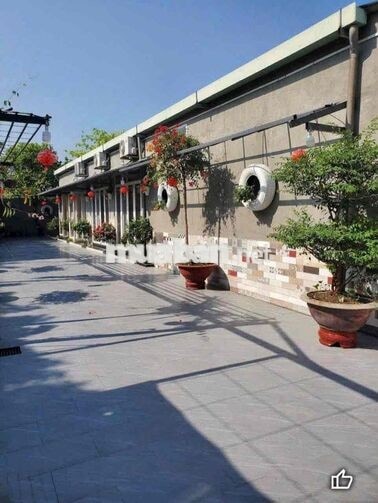 NHÀ VƯỜN CHO THUÊ TĐ8 GẦN CHỢ THỚI TỨ