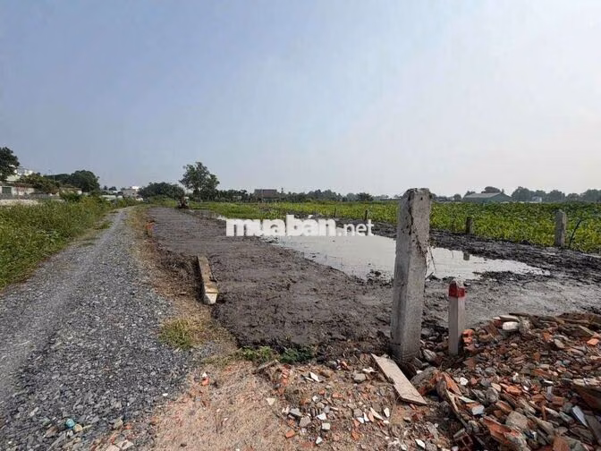 1300m2 ĐẤT NÔNG NGHIỆP NGUYỄN THỊ NGÂU VÀI 100M, CHỈ 2.3 TỶ