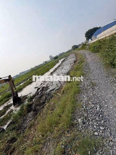 1300m2 ĐẤT NÔNG NGHIỆP NGUYỄN THỊ NGÂU VÀI 100M, CHỈ 2.3 TỶ