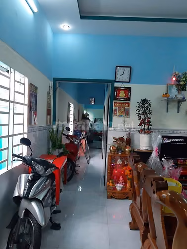 Nhà vườn Thị trấn Củ Chi Đường Phạn Thị Hối 7x45 tổng 395m2 SHR 1 tỷ 4